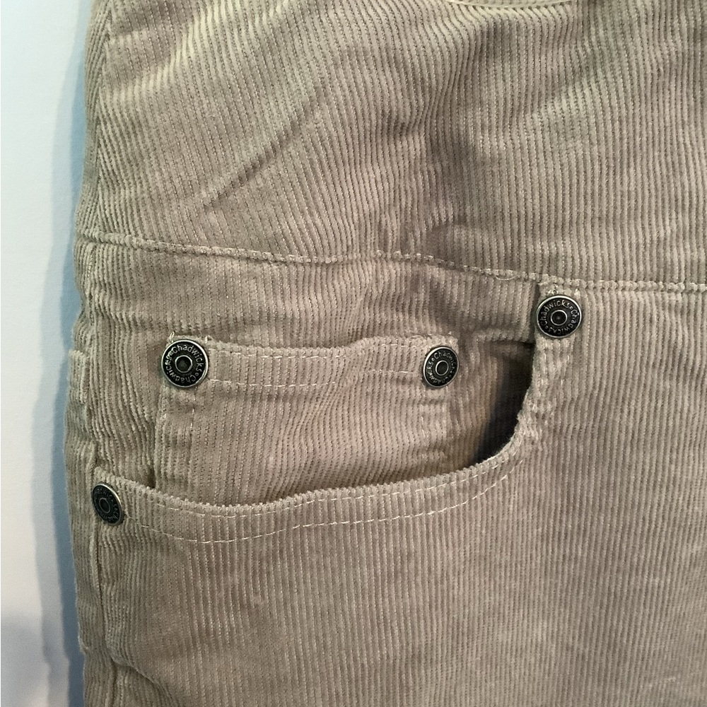 Closet Dump EUC Chadwicks Pull On Corduroy Skirt Size 12 - Picture 3 of 10
